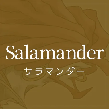 Mo salamander decbw3wo
