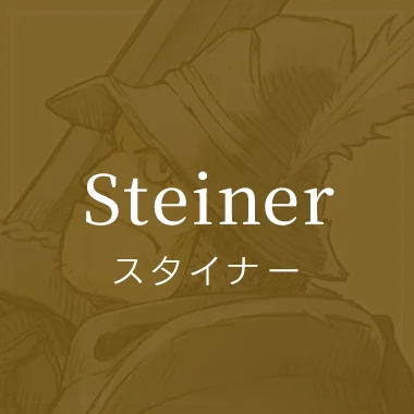 Mo steiner dd3he2 2